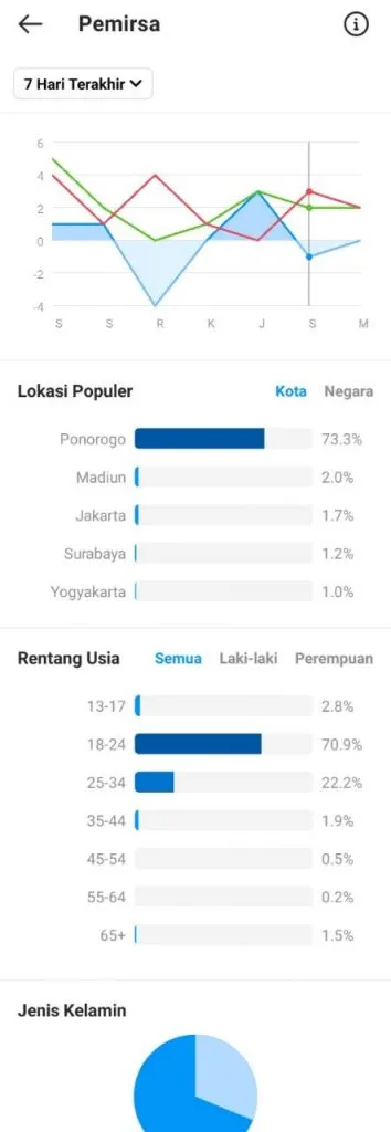 Contoh Tampilan Fitur Insight di Instagram Bisnis