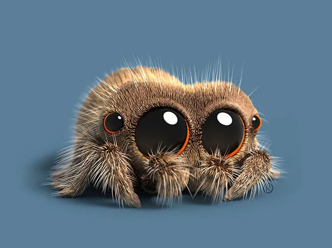 ToTool Spider Web Crawlerol Spider WTool Spider Web Crawlereb Crawler