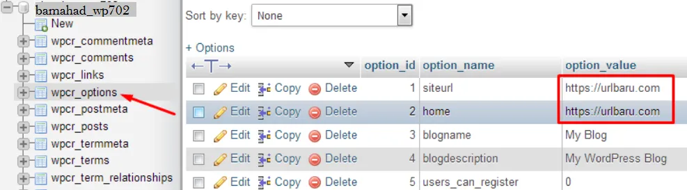 tabel wp_options