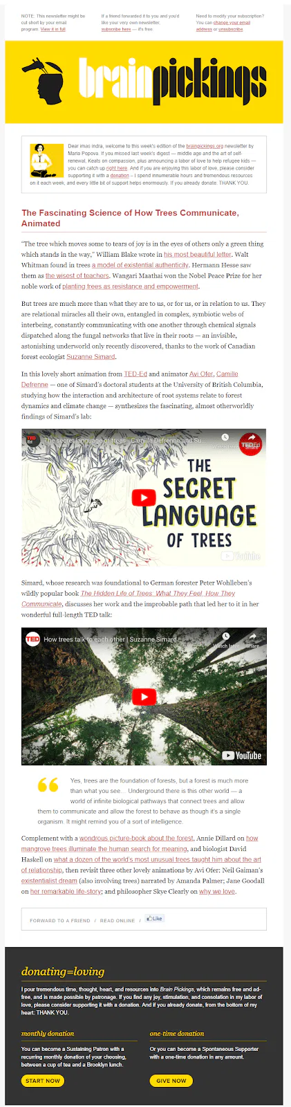 6 Contoh Newsletter Untuk Email Marketing Kamu Bamaha Digital