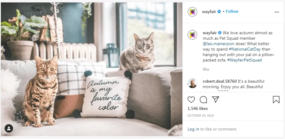 User Generated Content