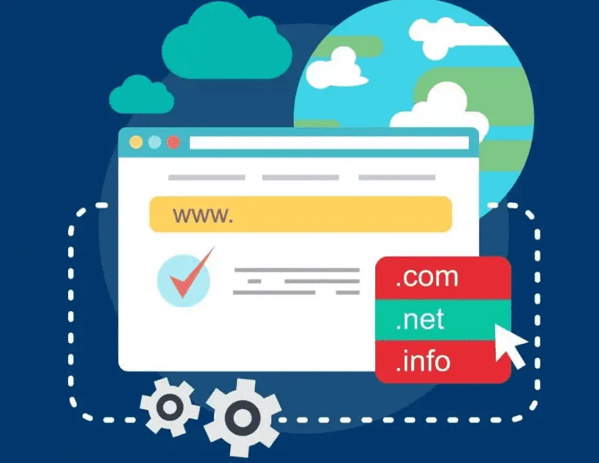 Hosting, Server dan Domain